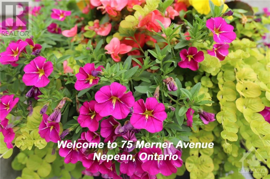 75 Merner Avenue, Ottawa, Ontario  K2J 3X7 - Photo 30 - 1396286