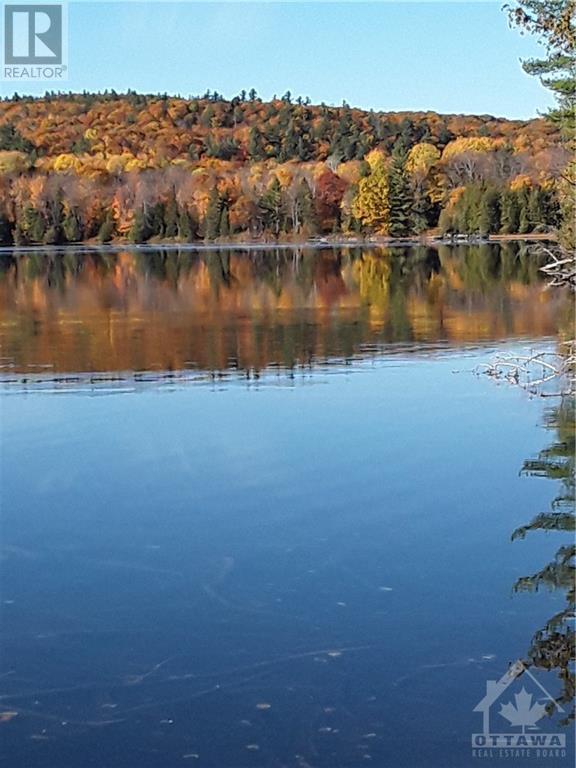 00 Mile Lake Private, Greater Madawaska, Ontario  K0J 1H0 - Photo 4 - 1400594