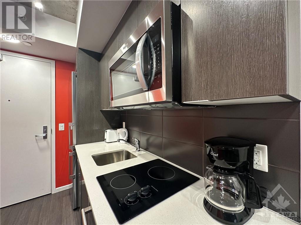 105 Champagne Avenue S Unit#1911, Ottawa, Ontario  K1S 5E5 - Photo 12 - 1408334